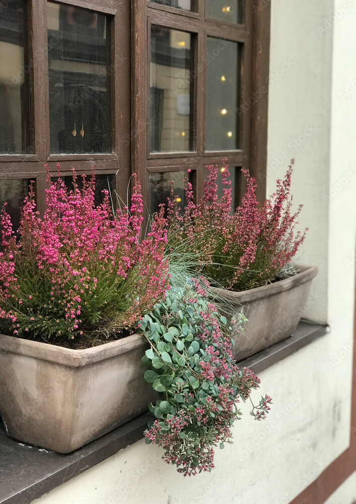 Affittacamere livorno con parcheggio